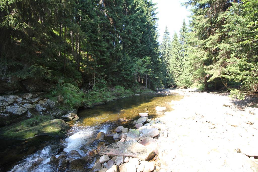 Chalet Schaefer Harrachov Bagian luar foto
